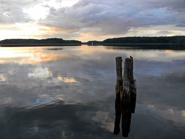 widok na jezioro woda, Niesłysz, Niesulice, Kormoran