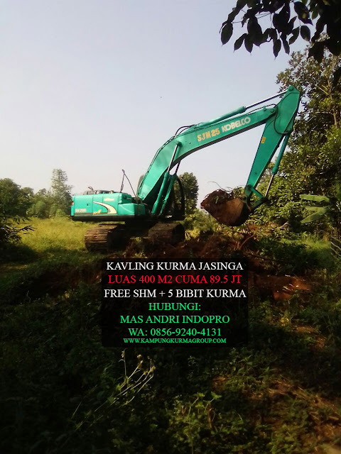 KAMPUNG-KURMA-JASINGA-TANAH-KAVLING-MURAH-ISLAMI-DI-BOGOR KAMPUNG-KURMA-JASINGA-TANAH-KAVLING-MURAH-ISLAMI-DI-BOGOR