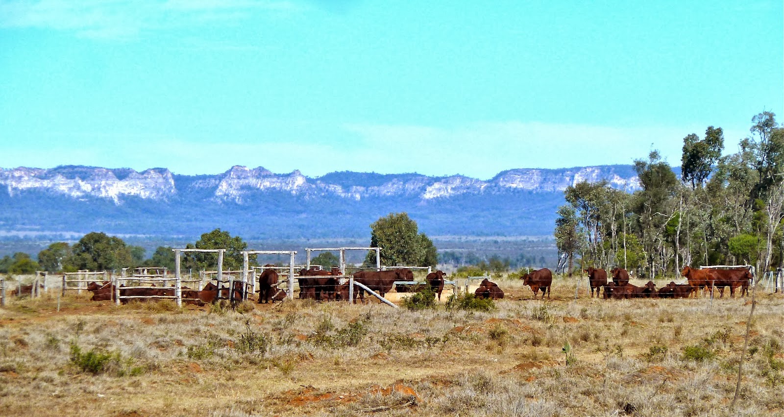 Hey Jude in Brisbane Out of the Outback Longreach to Carnarvon
