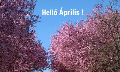 Kép