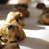 Install cookie notification bar for European Union countries