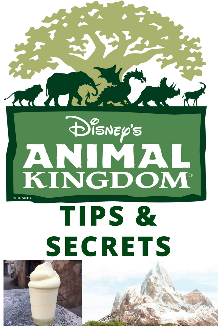 When Tara Met Blog 12 VIP Animal Kingdom Tips & Secrets