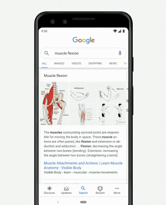 Eine Google Suche nach "muscle function"