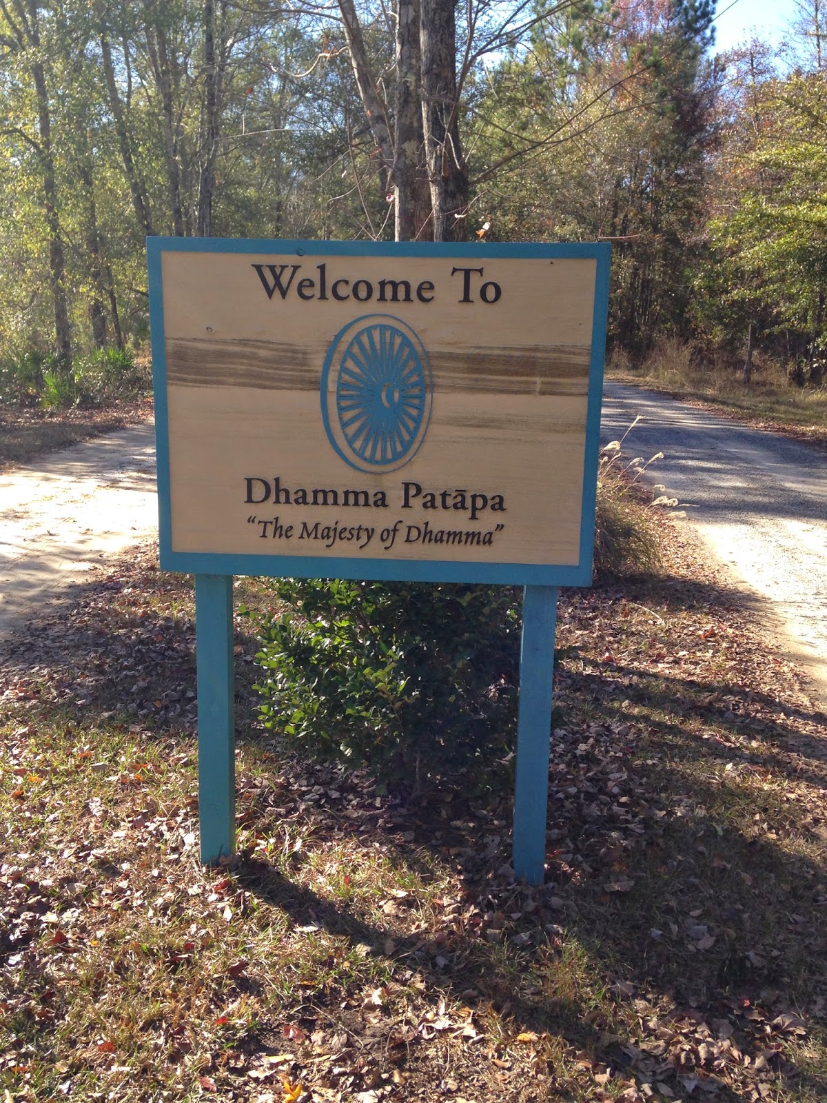 One Hopeless Wanderer Jesup, An Experiential Trial of