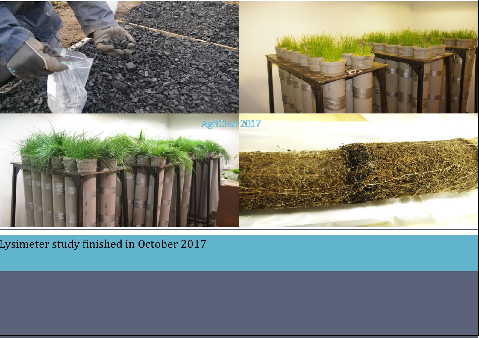 roost de ardere a grăsimilor sprijinul ajută la pierderea grăsimii burta
