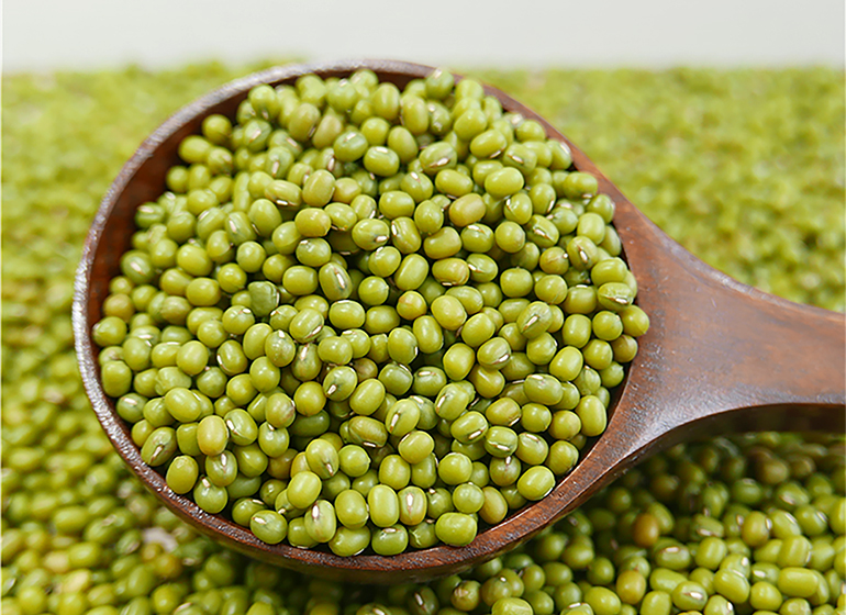 Ringkasan Pengolahan Bahan Pangan