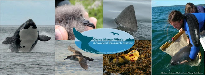 Grand Manan Whale & Seabird Research Station