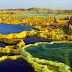 Danakil en Etiopía el lugar más inhóspito de la Tierra.