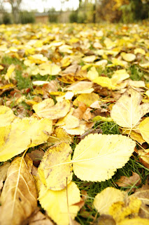 fallleaves artchick.biz