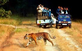 Jim Corbett National Park - The Perfect Weekend Destination For Adventure Seekers Jim Corbett National Park - The Perfect Weekend Destination For Adventure Seekers