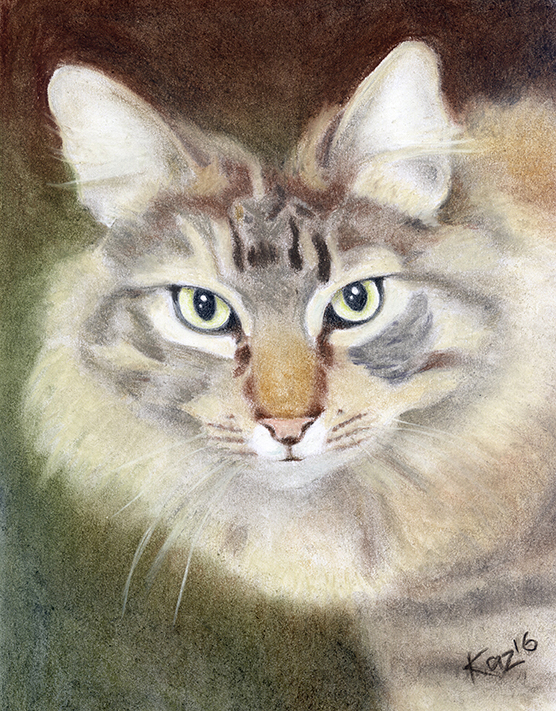 Pastel Cat Portrait