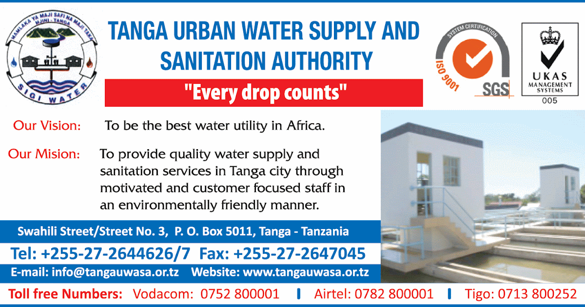 Assistant IT Officer II Systems Developer/Programmer Job at Tanga