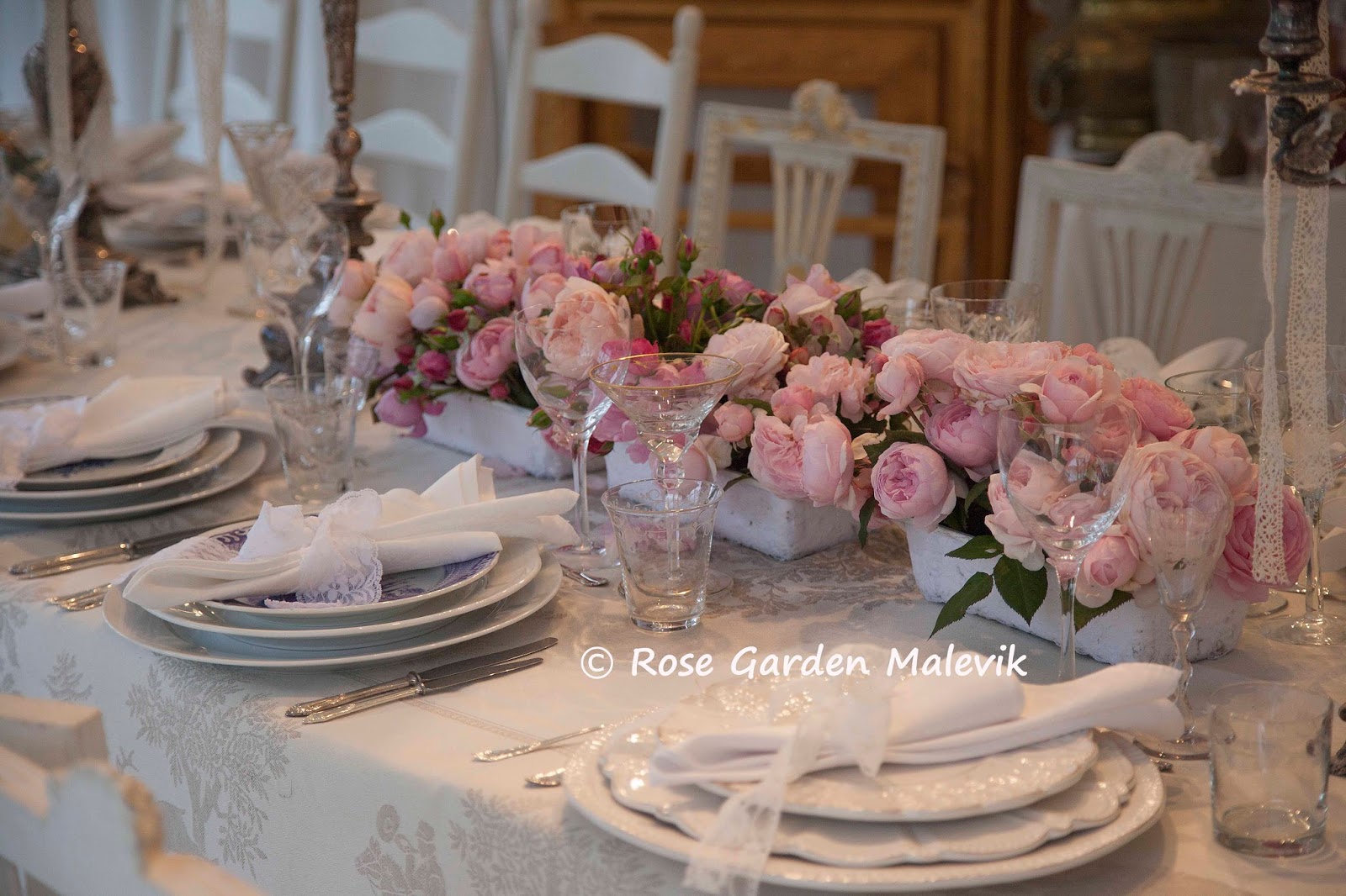 Rose garden malevik: rosenfesten ~ the big rose party