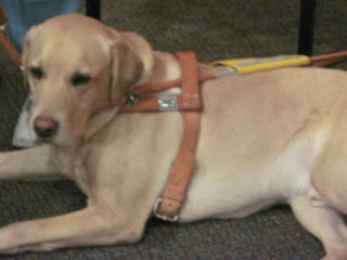 Jesse the Guide Dog