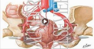 للاسف اغلب المتزوجين والمقبلات على الزواج لا تعرف شئ عن هذا هل تعلم لماذا حرم الله هذا الشىء جدا وما هي عقوبتها