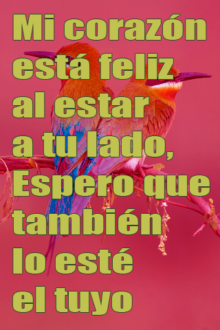 Mi corazón está feliz al estar a tu lado, Espero que también lo esté el tuyo Mi corazón está feliz al estar a tu lado, Espero que también lo esté el tuyo