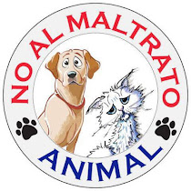 STOP AL MALTRATO ANIMAL