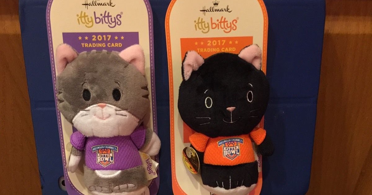 Itty Bittys Corner Kitten Bowl pictures!