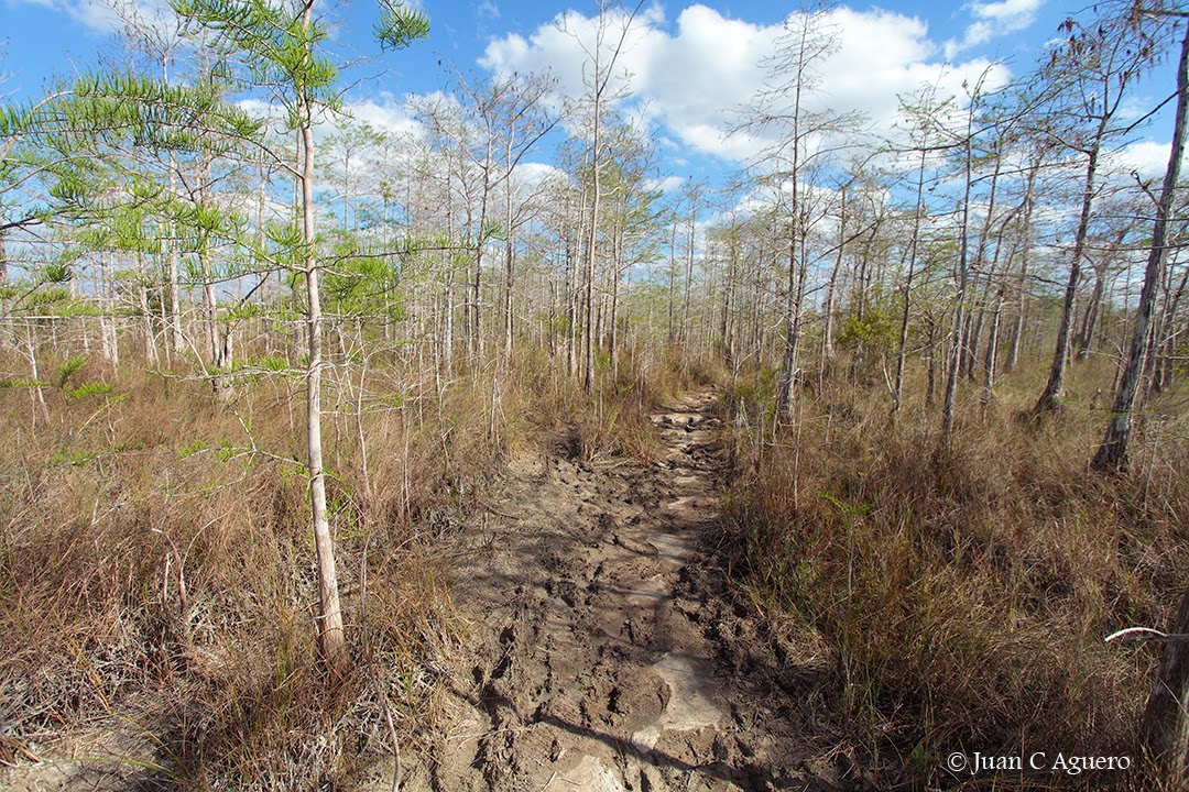 juanKaphotos GATOR HOOK TRAIL,Loop Road