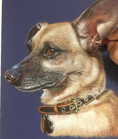 16-Fiona-The-Chiweenie-Dog-Ivan-Hoo-Animals-Translated-to-Realistic-Drawings-www-designstack-co