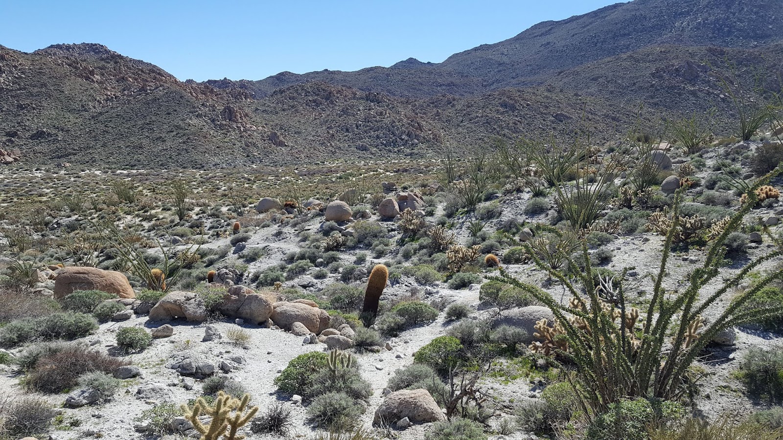 Dos Cabezas Spring Anza Borrego Desert ARMCHAIR HIKER SAN DIEGO