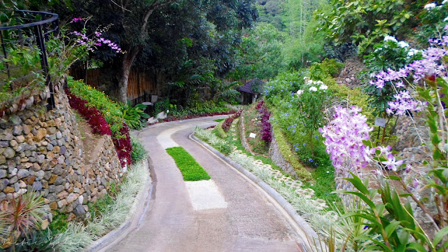 Terrazas de Flores Cebu Botanical Garden