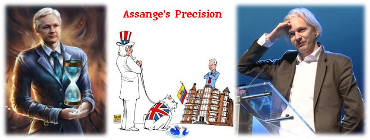 Assange's Precision