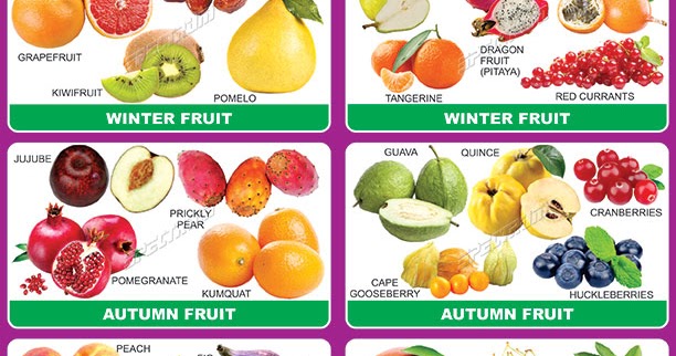 Spectrum Educational Charts: Chart 672 - Seasonal Fruits