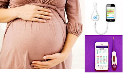 10 Aplikasi Persiapan Program  Kehamilan 