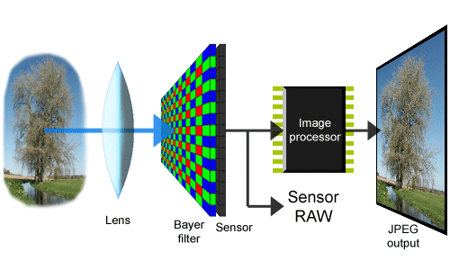 مراحل إنتاج الصورة في الكاميرا الرقمية