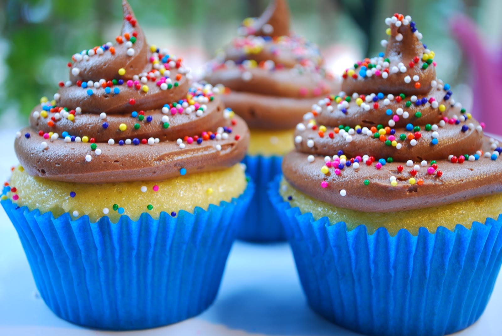 Lexi's Treats Yellow Cake Cupcakes with Chocolate Frosting and.....