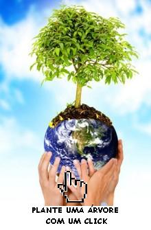 Plante uma árvore! Salvem vidas!