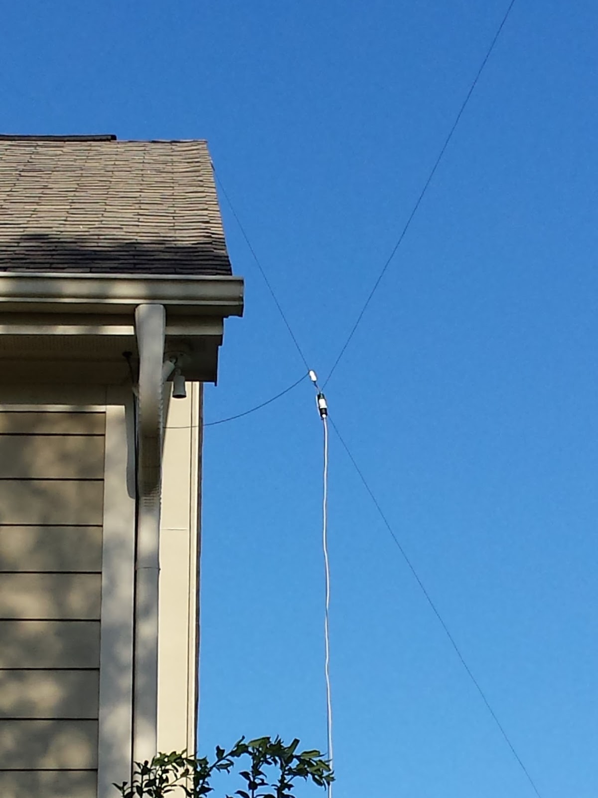 Think, Carolina windom amateur radio antenna your idea Are not Carolina windom amateur radio antenna confirm. join