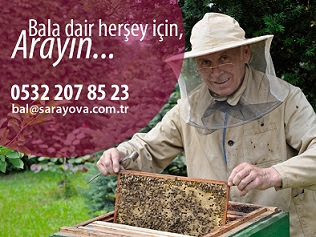 bal üreticisi bal üreticisi