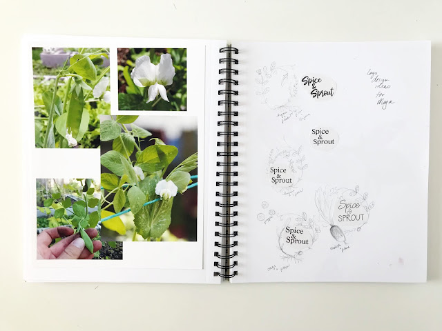 sketchbooks, sketching, logo design, art process, design process, Anne Butera, My Giant Strawberry