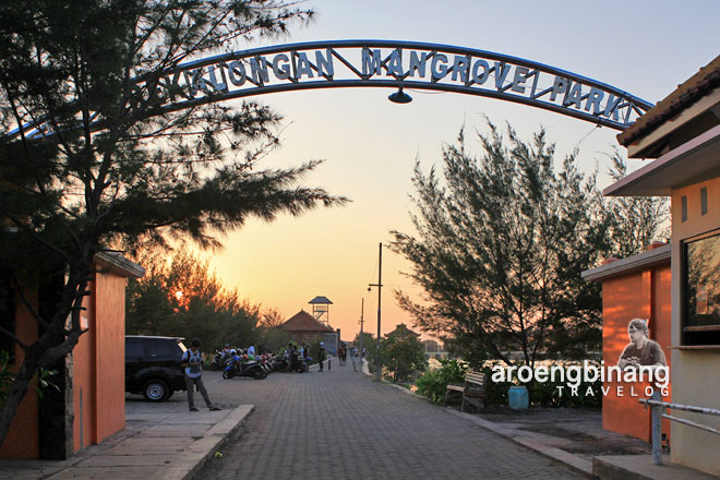 pekalongan mangrove park