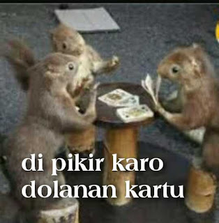 Gambar Lucu Gokil Terbaru Bahasa Jawa Gambar Lucu Gokil Terbaru Bahasa Jawa