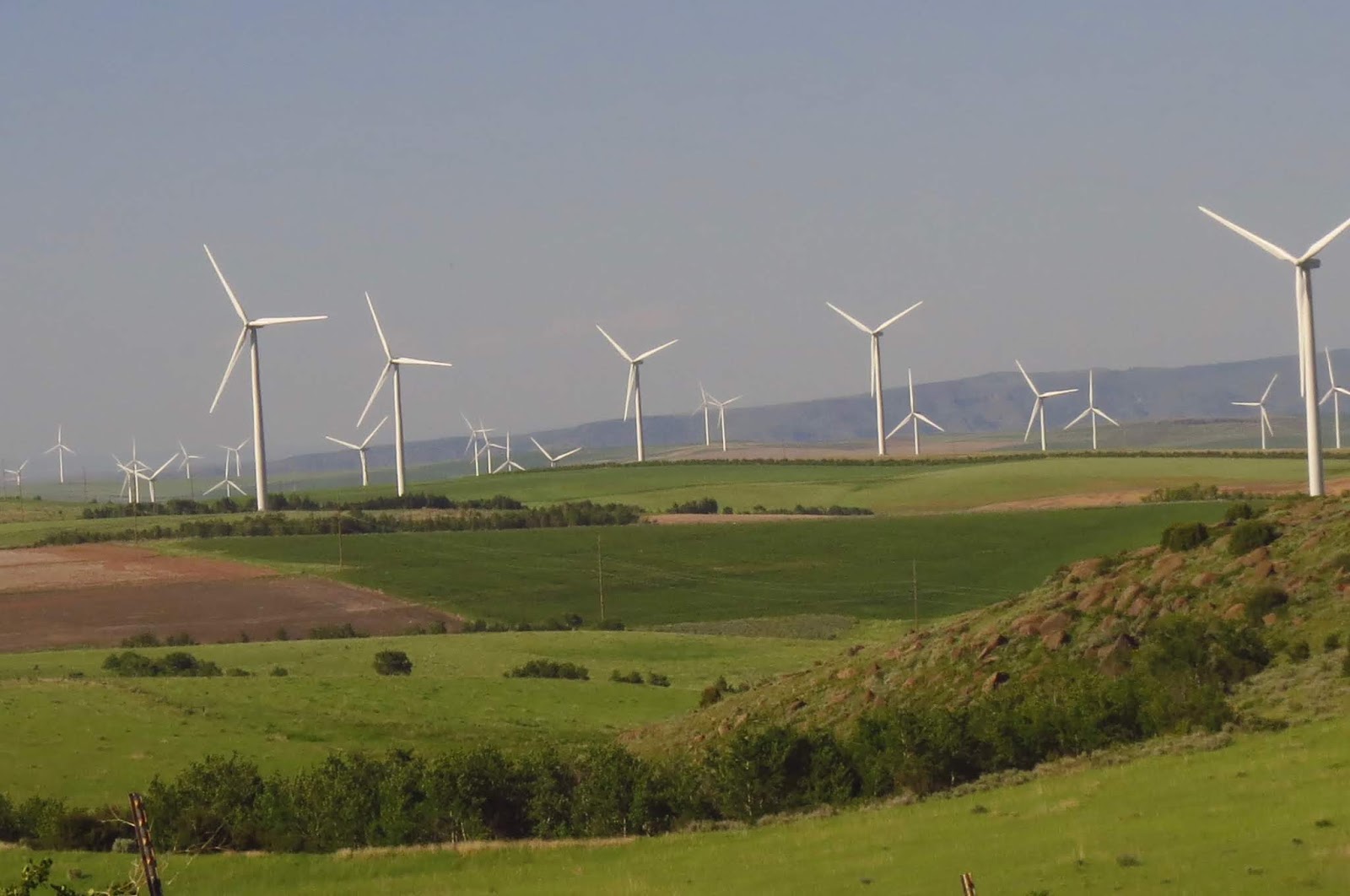 Adventures Of A Vagabond Volunteer Travels In Idaho