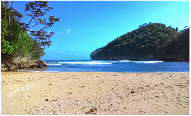 Pantai Kondang Sugu, Saudara Senasib yang Tertutup Hutan Konservasi Pantai Kondang Sugu, Saudara Senasib yang Tertutup Hutan Konservasi