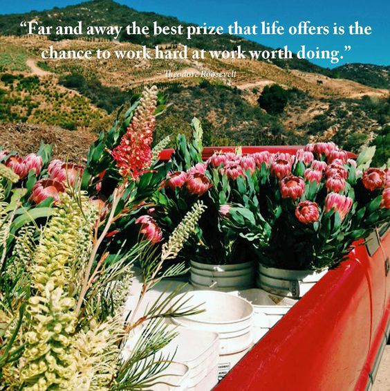 A Passion for Flowers Artwork We Love Flowers & Inspiring Words