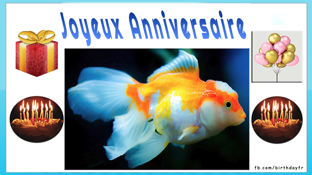 Jolie photo de poisson, carte de voeux d&#39;anniversaire