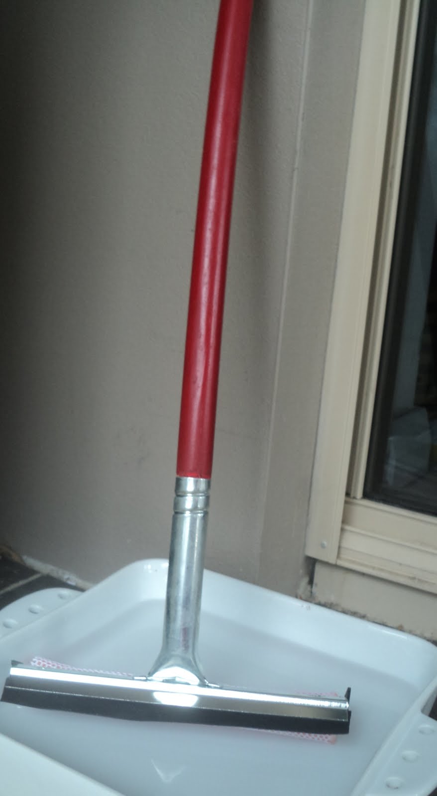 A Little Learning For Two Squeegee Sight Words