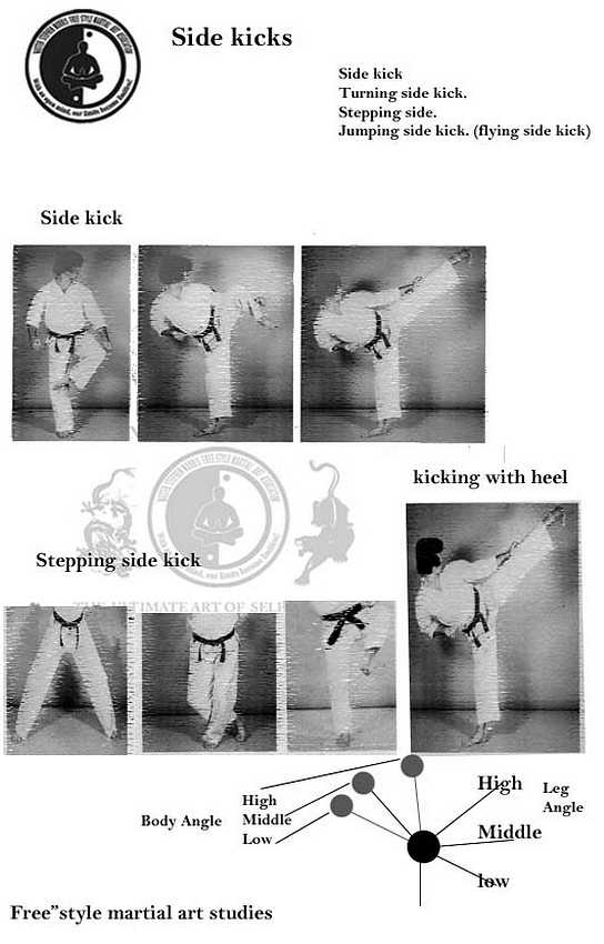 free" style martial art Diffrent types of kicks