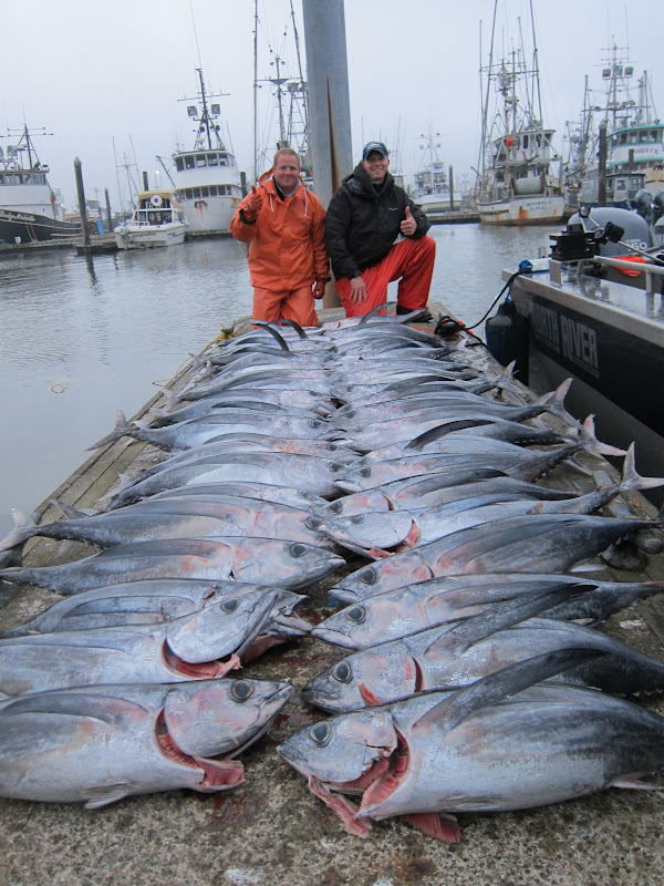 Todds Extreme Fishing Westport Tuna 81112