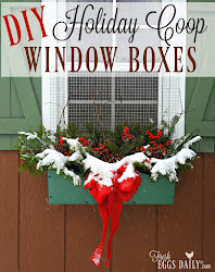 window boxes holiday coop chicken winterberry foraged winter decorations natural fresheggsdaily display fresh windowbox country chickens