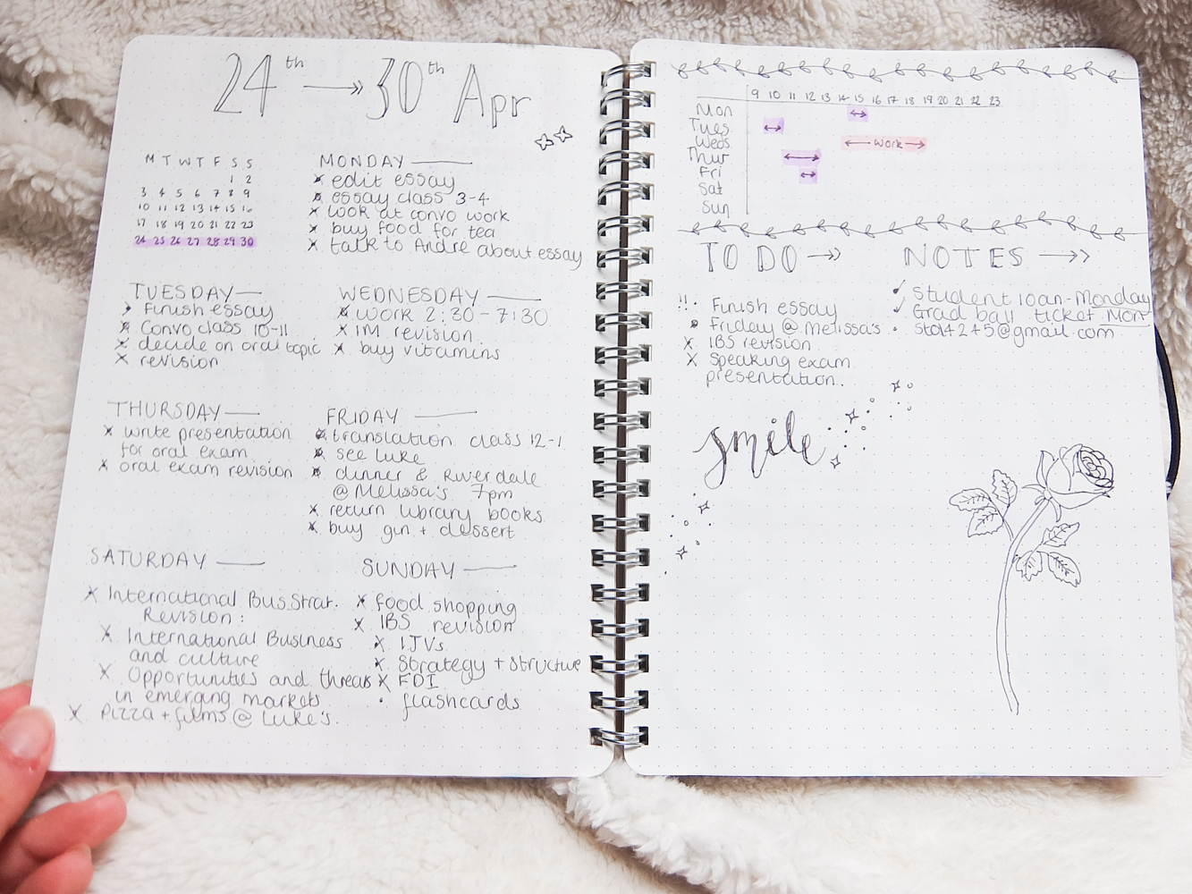 Bullet Journal Walkthrough | www.hannahemilylane.com