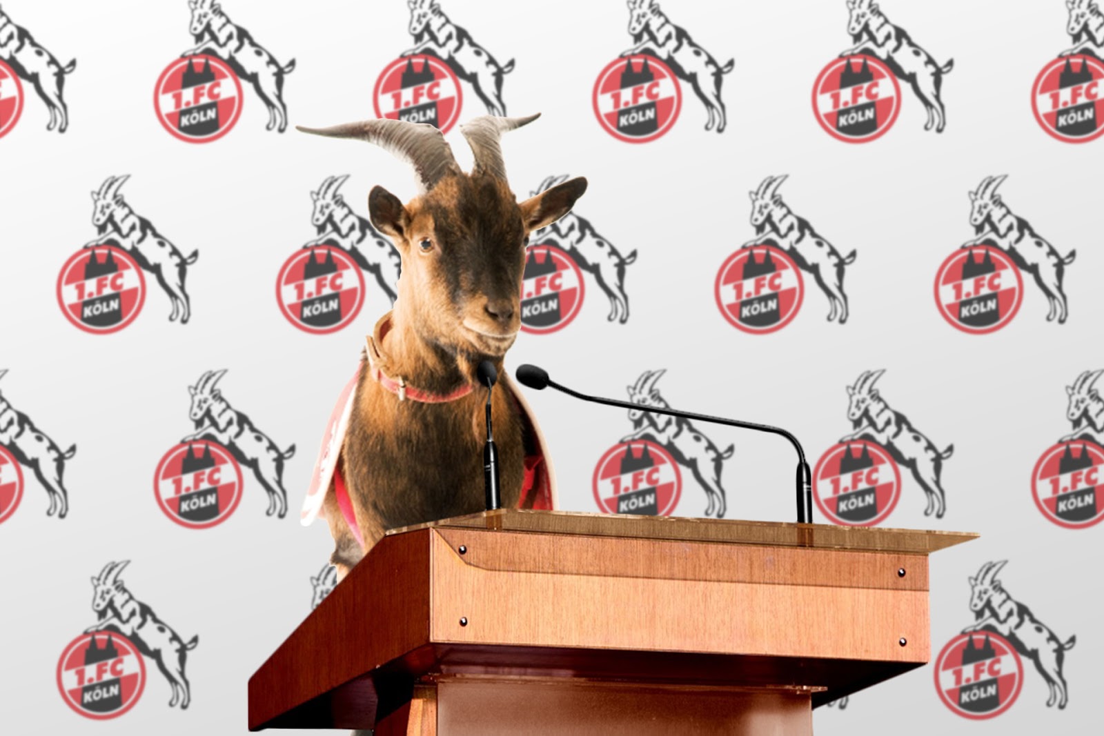 Der Postillon: Nach Schmadtke-Aus: Geißbock Hennes wird ...
