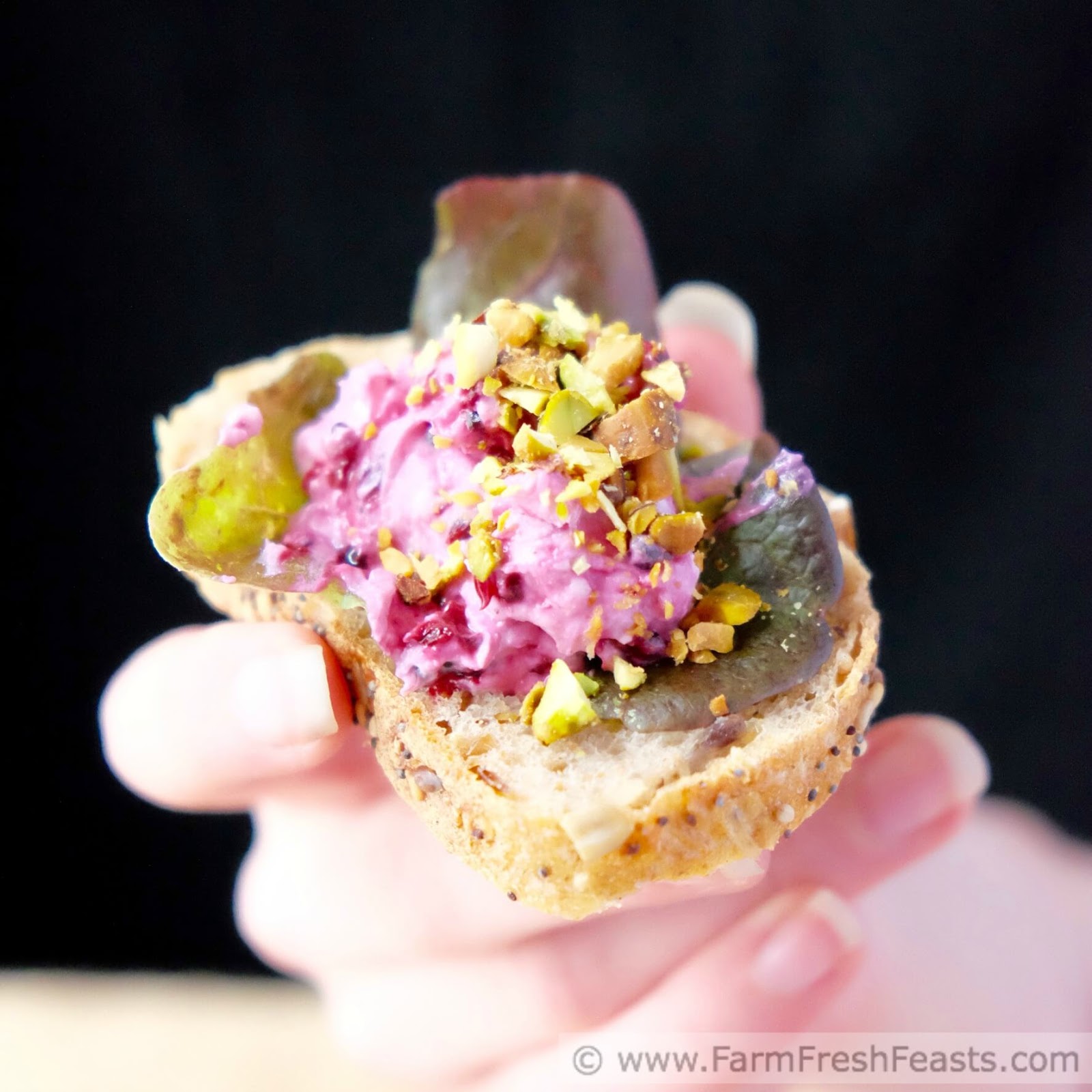 Farm Fresh Feasts Black Raspberry & Goat Cheese Crostini