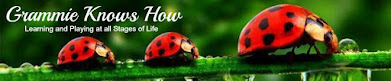 ladybug banner