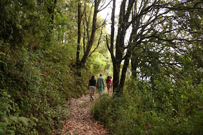 Jilling Trek to Temple Jilling Trek to Temple